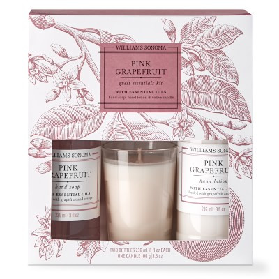 Williams Sonoma Geranium Pink Classic Stripe Towels & Pink Grapefruit Guest Set Bundle | Williams-Sonoma