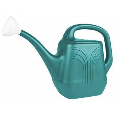 Bloem Classic Plastic Watering Can, Bermuda Teal, 2 Gallon | Target