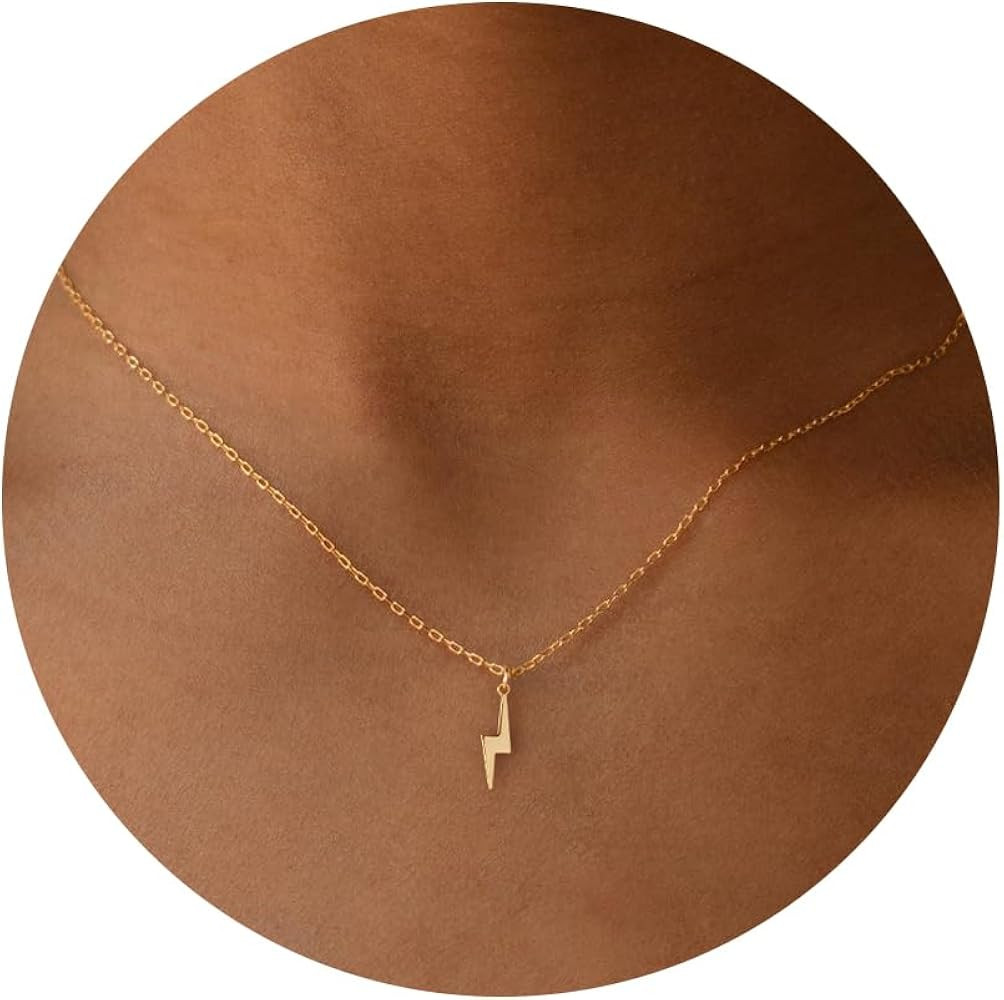 Gold Necklace for Women-14K Gold Plated Medallion Bee Sun Hoop Chilli Humming Bird Pendant Dainty... | Amazon (US)