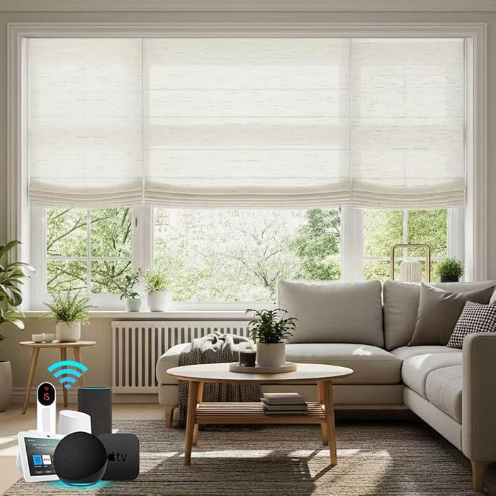 Bringnox Motorized Blinds,Light Filtering Roman Shades for Windows,with Apple Homekit,Alexa,Googl... | Amazon (US)