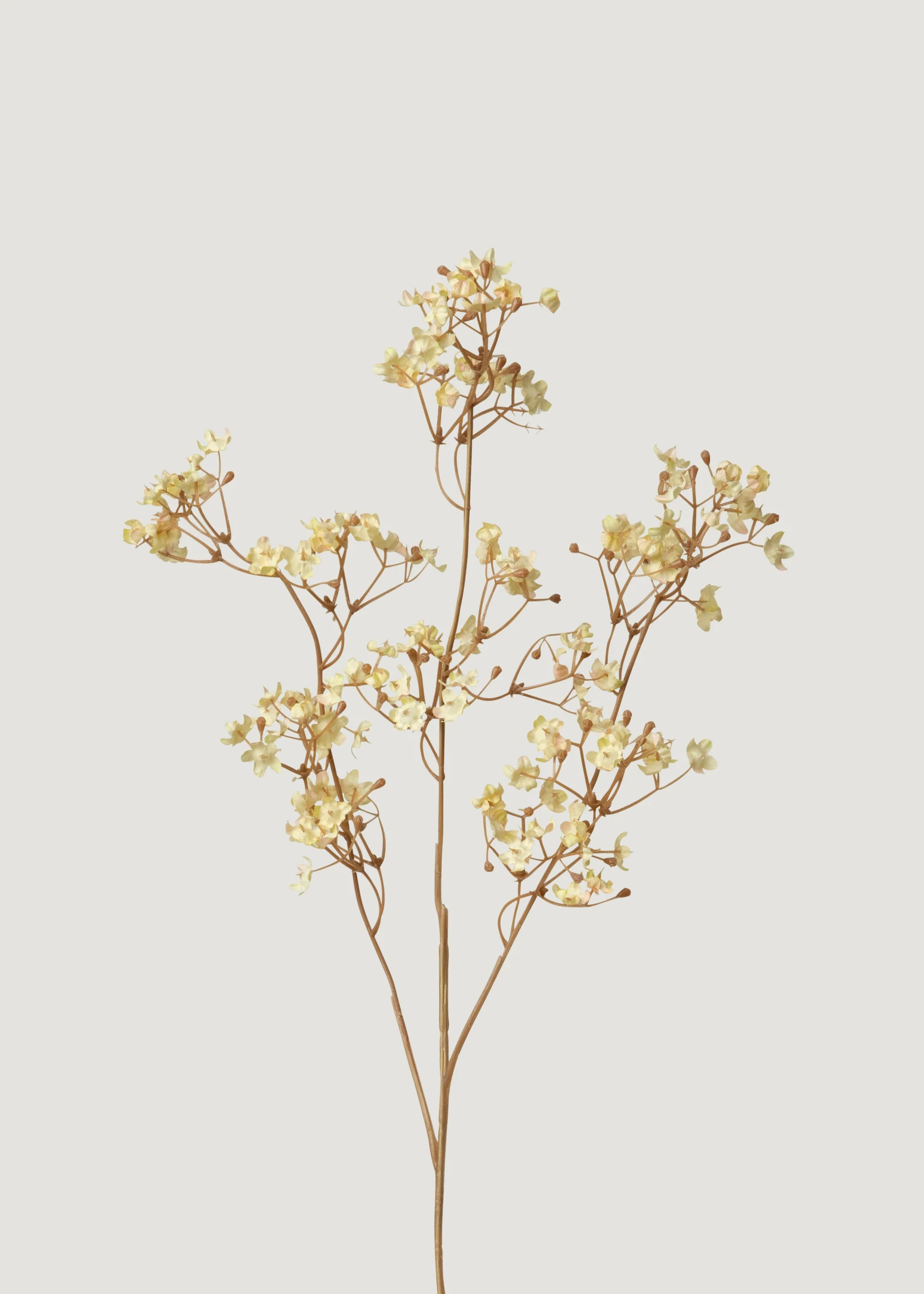 Baby's Breath in Cream | Artificial Gypsophila Flowers | Afloral | Afloral