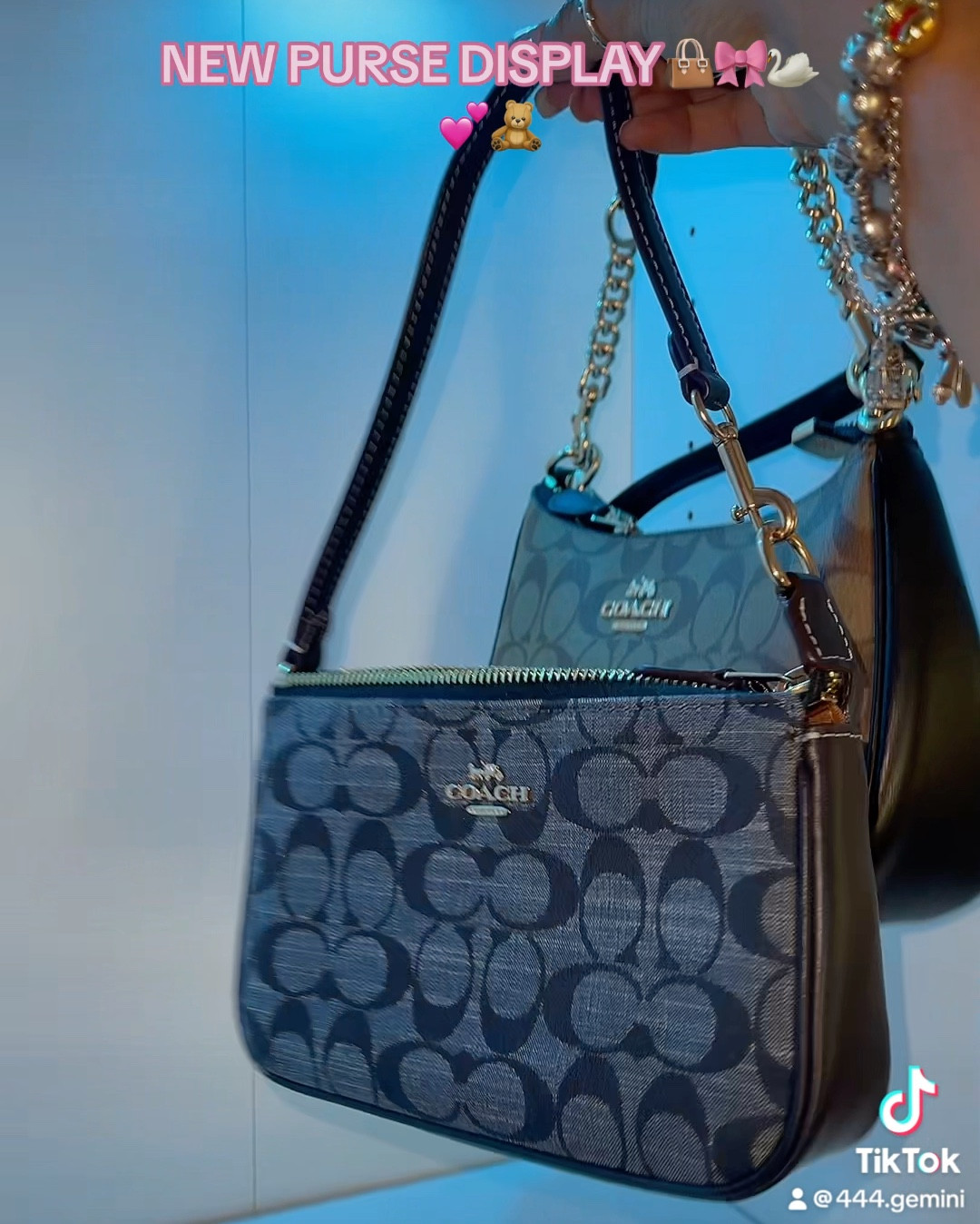 PURSE DISPLAY🎀💕🦢🧸👜 it’s perfect! 

#LTKVideo #LTKHome #LTKU