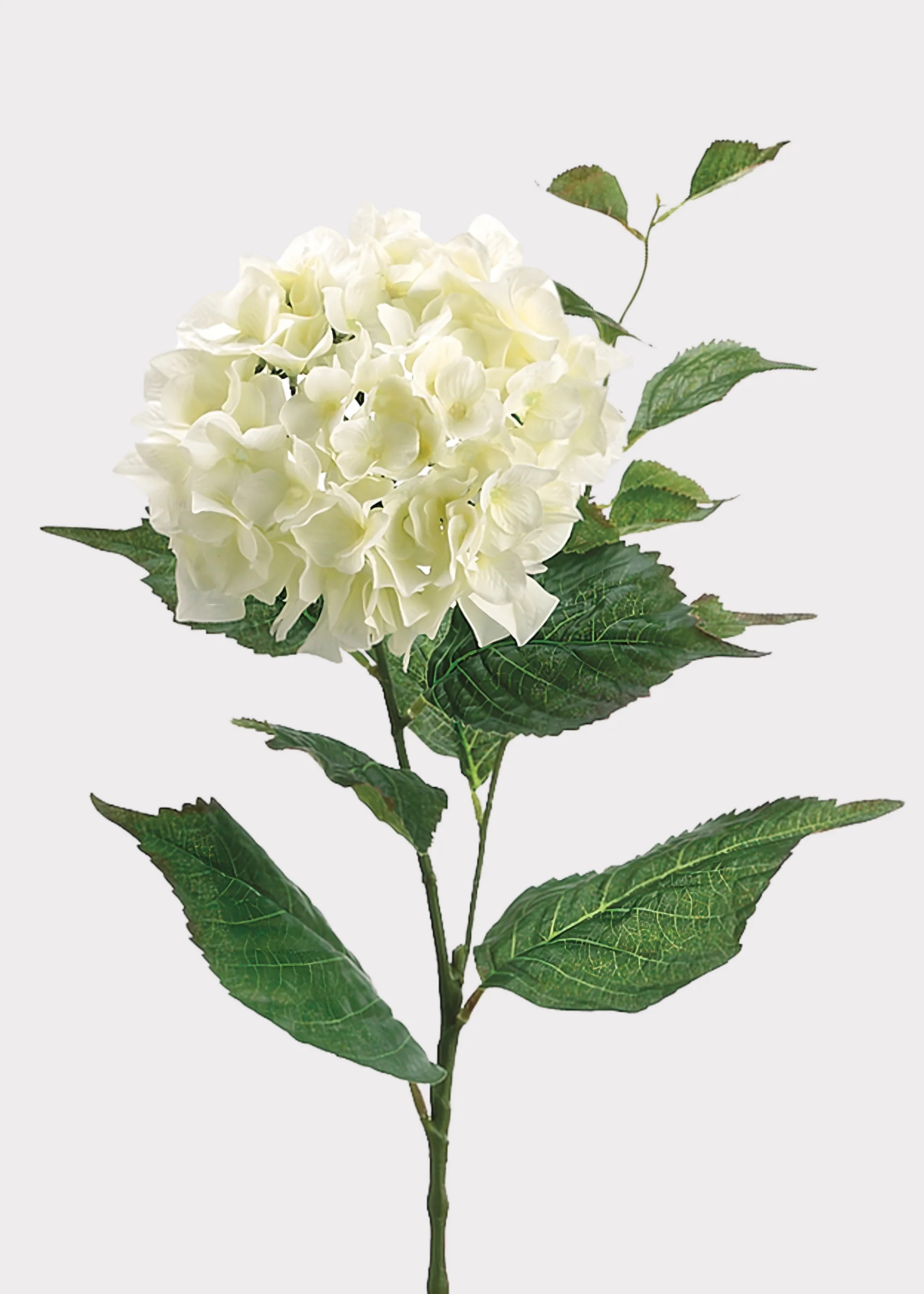 Cream White Hydrangea Stem | Elevated Artificial Flowers | Afloral | Afloral