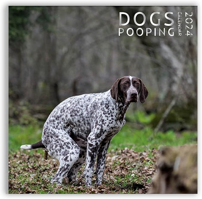 Dog Pooping Calendar 2024, 12 x 12 inch, Funny Gift, White Elephant, Gag Gift, Secret Santa | Amazon (US)