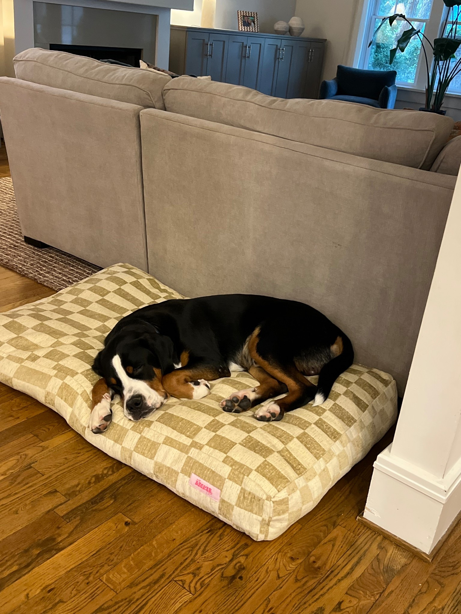 The only bed our dog willing sleeps on. We have two! 

#ltkhome #ltkpet 