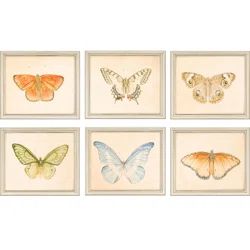 Paragon 'Butterflies Pk/6' by Meagher - 6 Piece Picture Frame Graphic Art Print Set on Paper | Wayfair North America