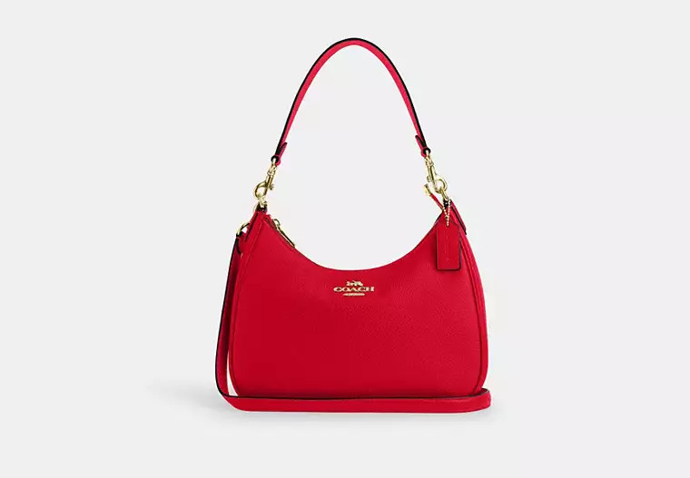 Teri Hobo Bag | Coach Outlet US