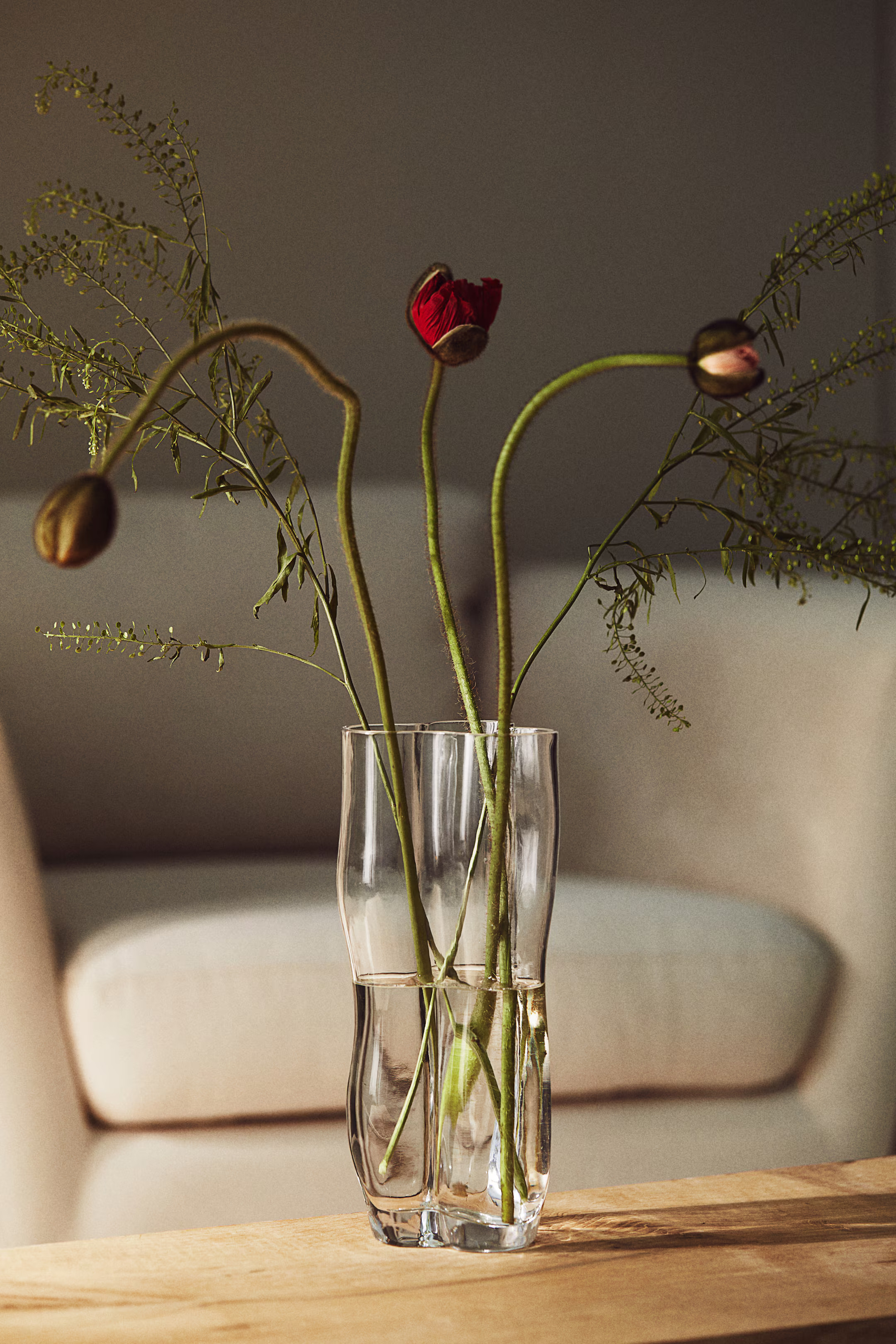 Tall Glass Vase - Transparent - Home All | H&M US | H&M (US + CA)