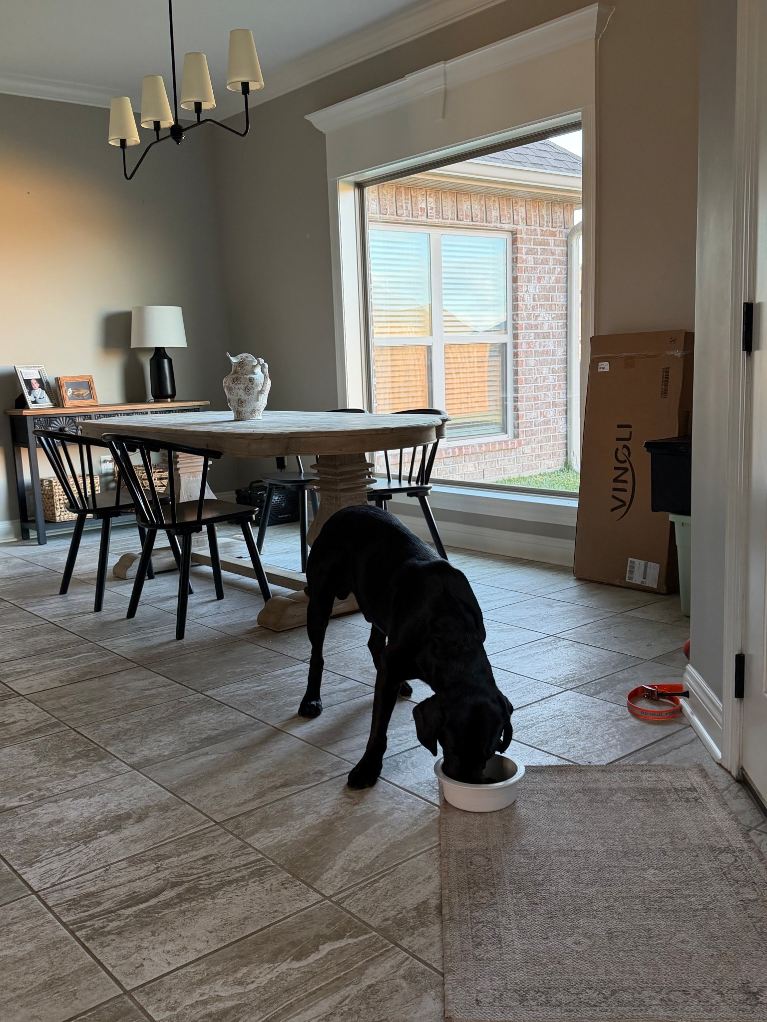 Healthy, fulfilling, and nutrient rich dog food!! 

#LTKPets #LTKFindsUnder100