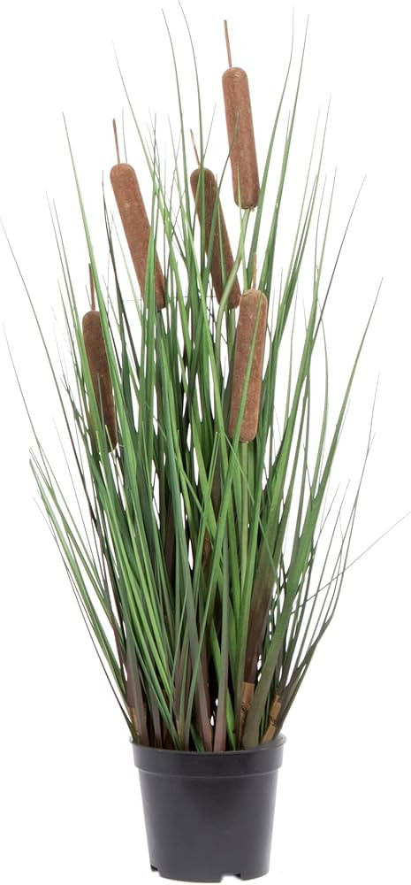 Vickerman 24" Everyday Artificial Potted Green Straight Grass and Cattails with Black Plastic Pot... | Amazon (US)