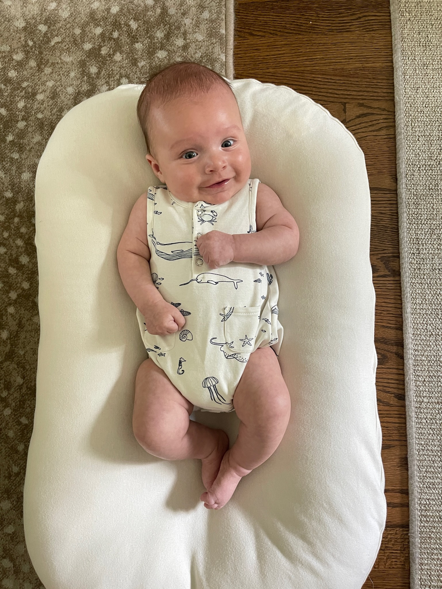 Snuggle me lounger - baby shower gifts - baby boy must haves - baby registry - baby gifts 


#LTKbaby #LTKhome #LTKfamily