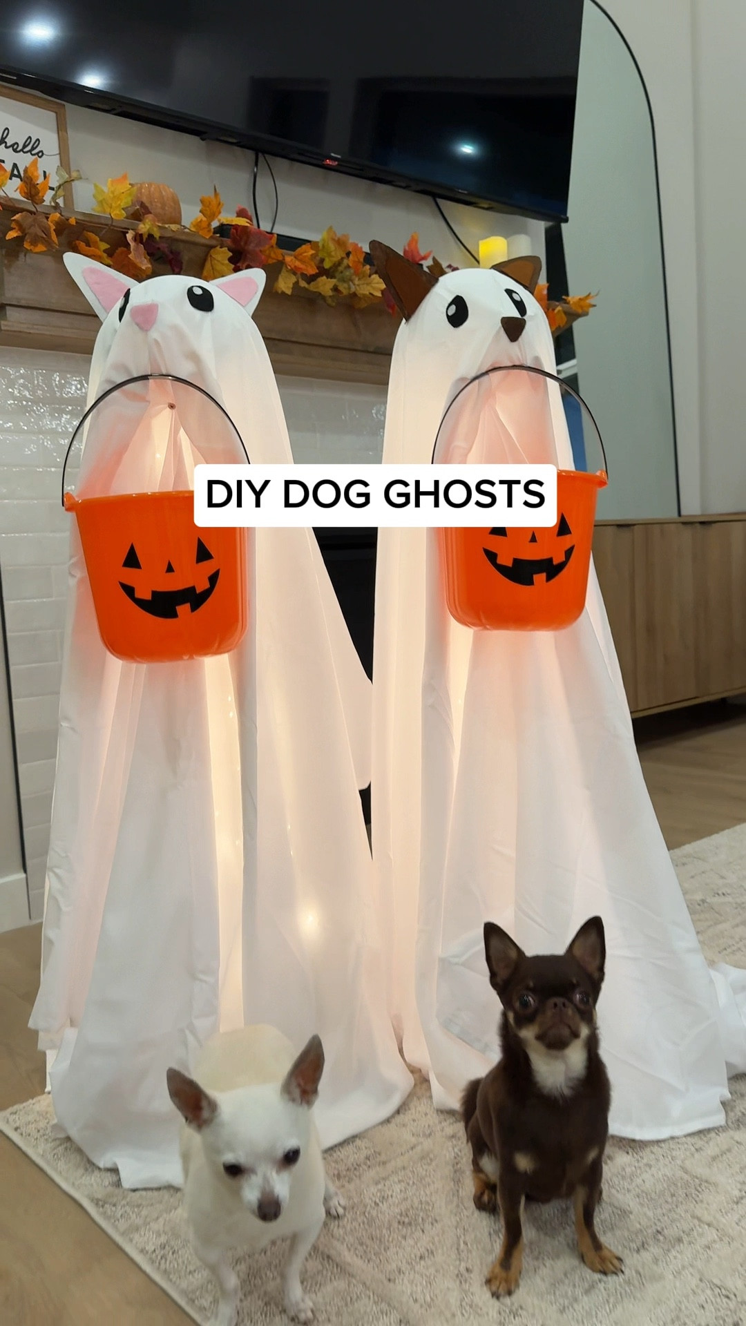 Everything I bought to make these DIY dog ghosts!! #diyhalloweendecor #amazonhalloween #dogmom 

#LTKSeasonal