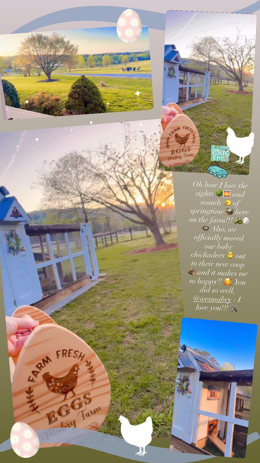 Oh how I love the sights 🌳🌅 and sounds 🐤 of springtime 🧺 here on the farm!!! 🚜🥚🪺 Also, we officially moved our baby chickadees 🐥 out to their new coop 🪵 and it makes me so happy!! 🥰  You did so well, @wesmabry - I love you!!! 🛠️ 