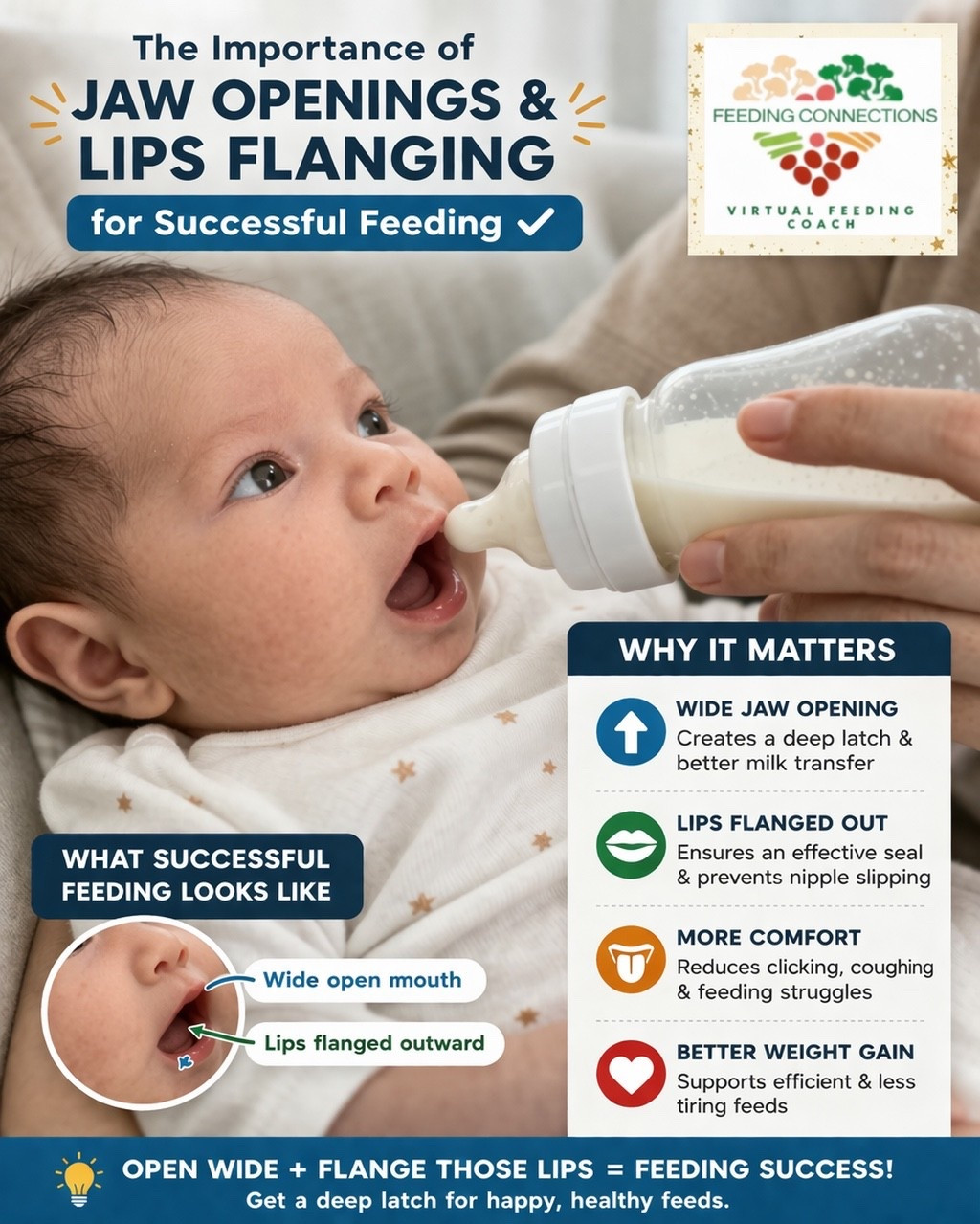 Check out the recommended feeding products from a feeding specialist!