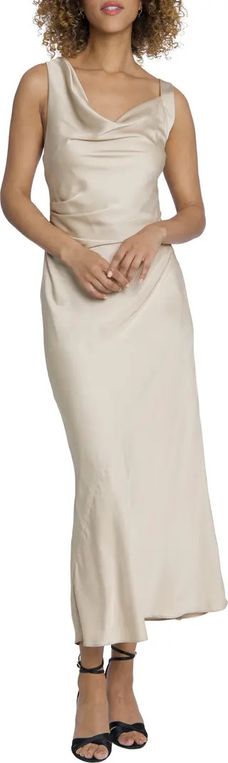 Draped Asymmetric Cowl Neck Gown | Nordstrom