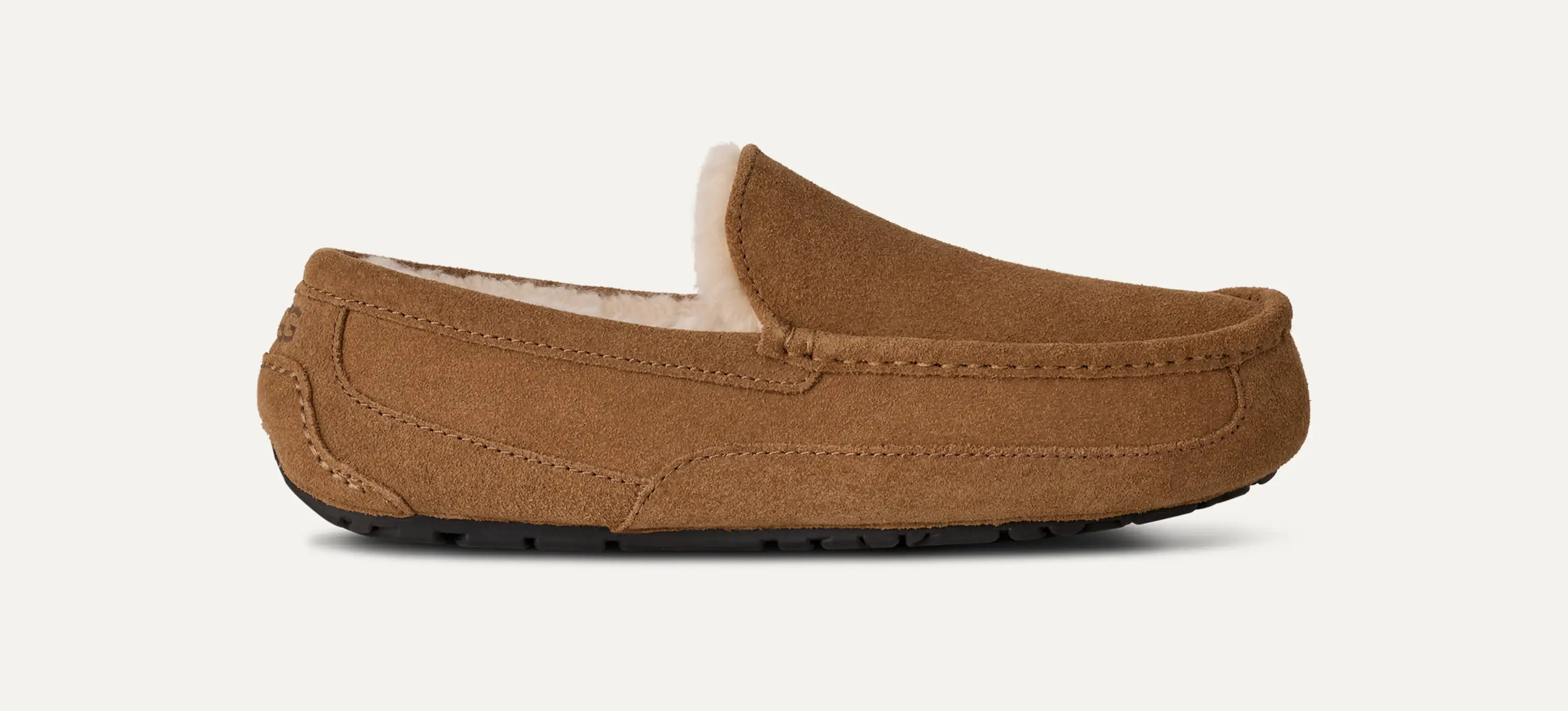 Ascot | UGG (US)