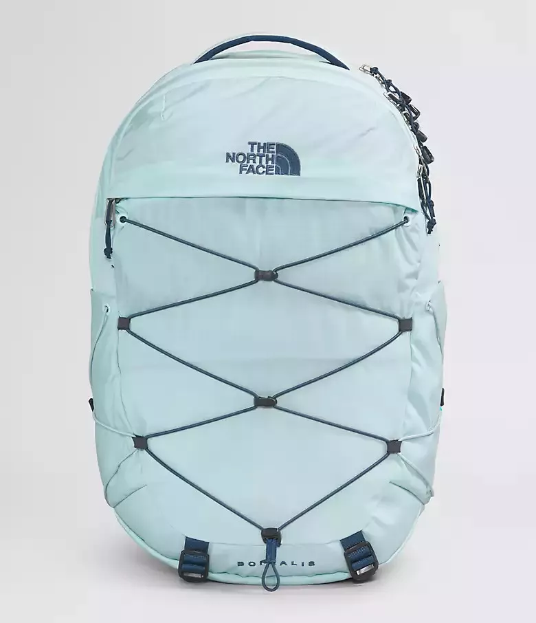 THE NORTH FACE 10L Mini Borealis … curated on LTK