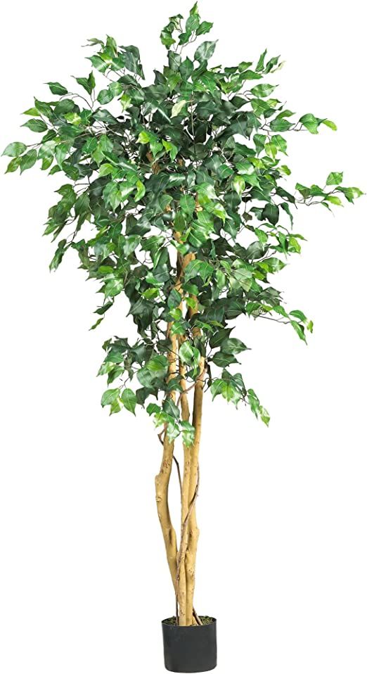 Nearly Natural 5208 Ficus Artificial Tree with Curved Trunk, 5-Feet, Green | Amazon (US)