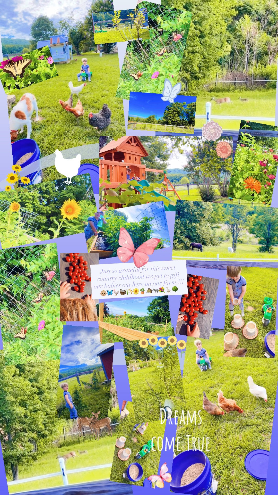 Just so grateful for this sweet country childhood we get to gift our babies out here on our farm !!! 👶🏼🦋🐓🧺🌾🌼🪴🐴🫏💐🪿🌳