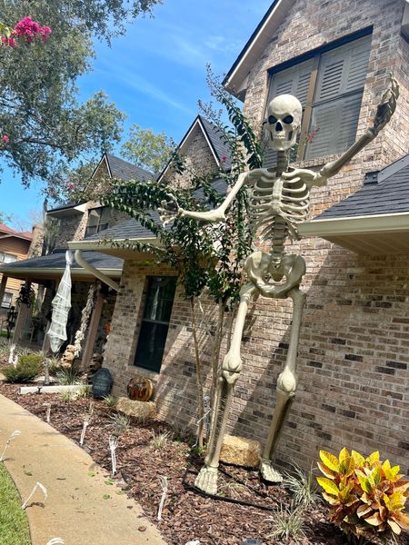 Giant Halloween Skeleton 12’


#LTKHalloween #LTKSeasonal