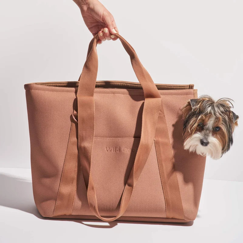 Wild One Everyday Carrier - Brown | Verishop