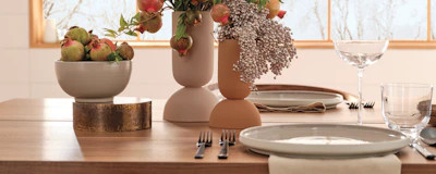 Dual Vase | Design Within Reach