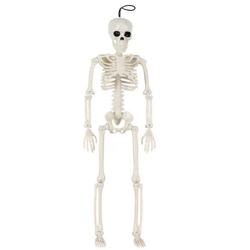 Halloween Poseable Skeleton, Posable Halloween Skeleton, Full Body Halloween Skeleton, Life Size ... | Walmart (US)