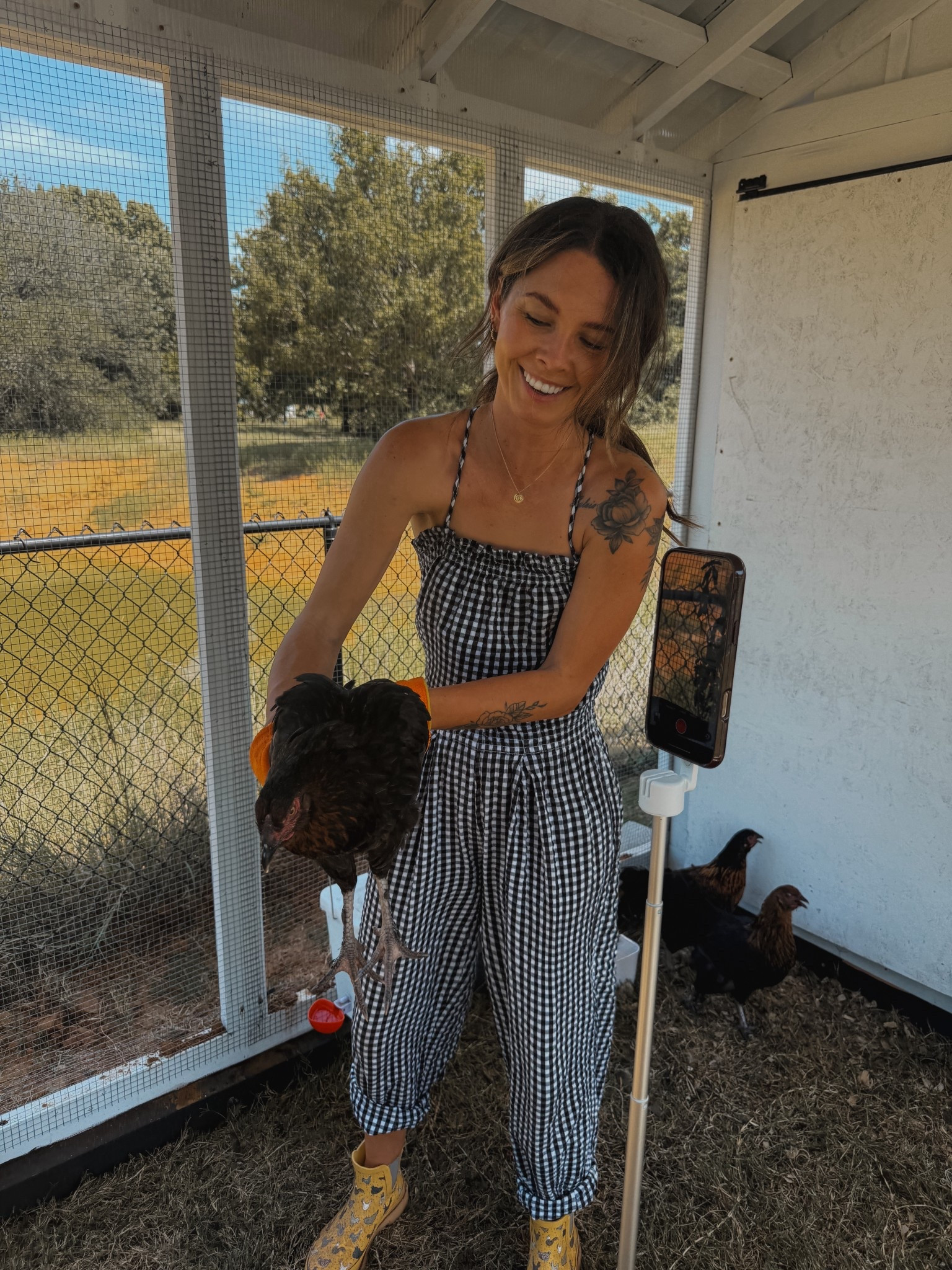 Chicken coop outfit & supplies & tips! 