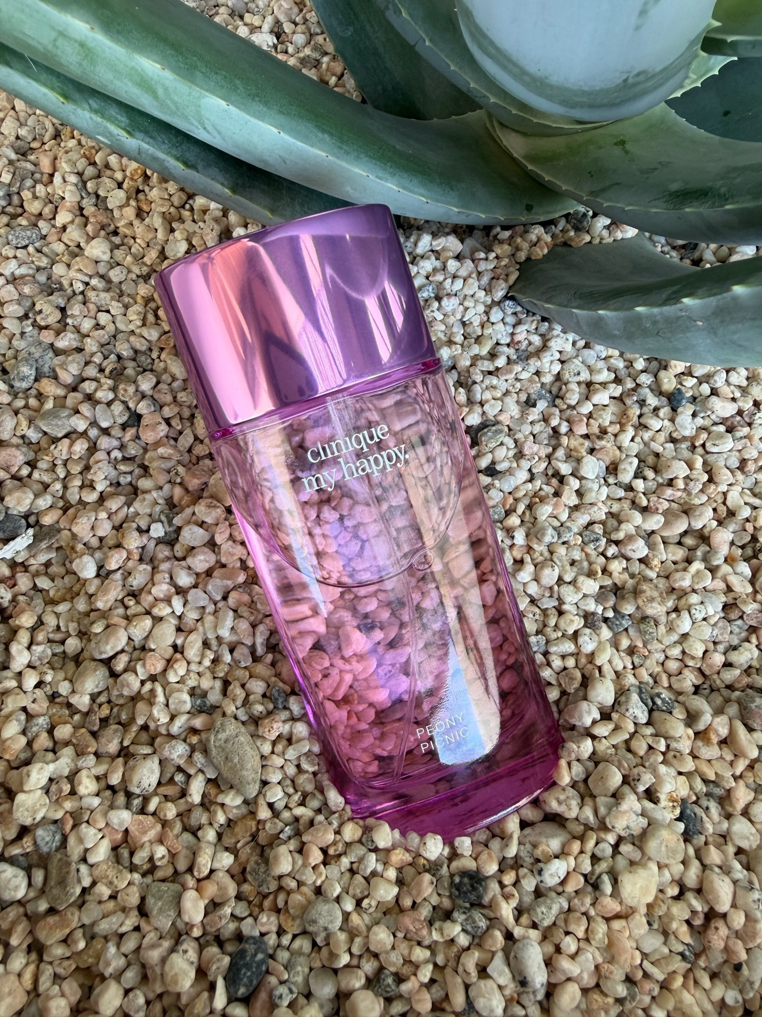 Omg this fragrance is little SUMMER IN A BOTTLE ✨👏🏼 I am beyond obsessed with it. It’s all I’m wearing 🤣 it’s a little Rosie, a little fruity. It’s absolutely gorgeous.

#LTKU #LTKBeauty #LTKTravel