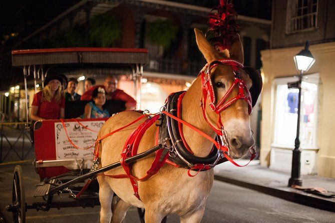 New Orleans Small-Group Haunted History Carriage Tour | Viator