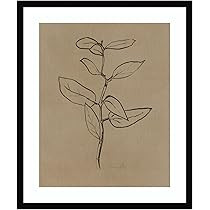 Amanti Art Framed Wall Art Print 25x21 Eucalyptus Sapling by Dan Hobday, Nature Wall Art, Modern ... | Amazon (US)