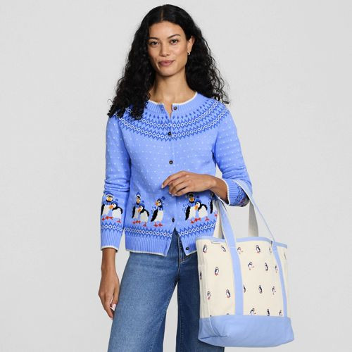 Women's Drifter Fair Isle Raglan Sleeve Cardigan Sweater - Lands' End - Blue - XL | Lands' End (US)