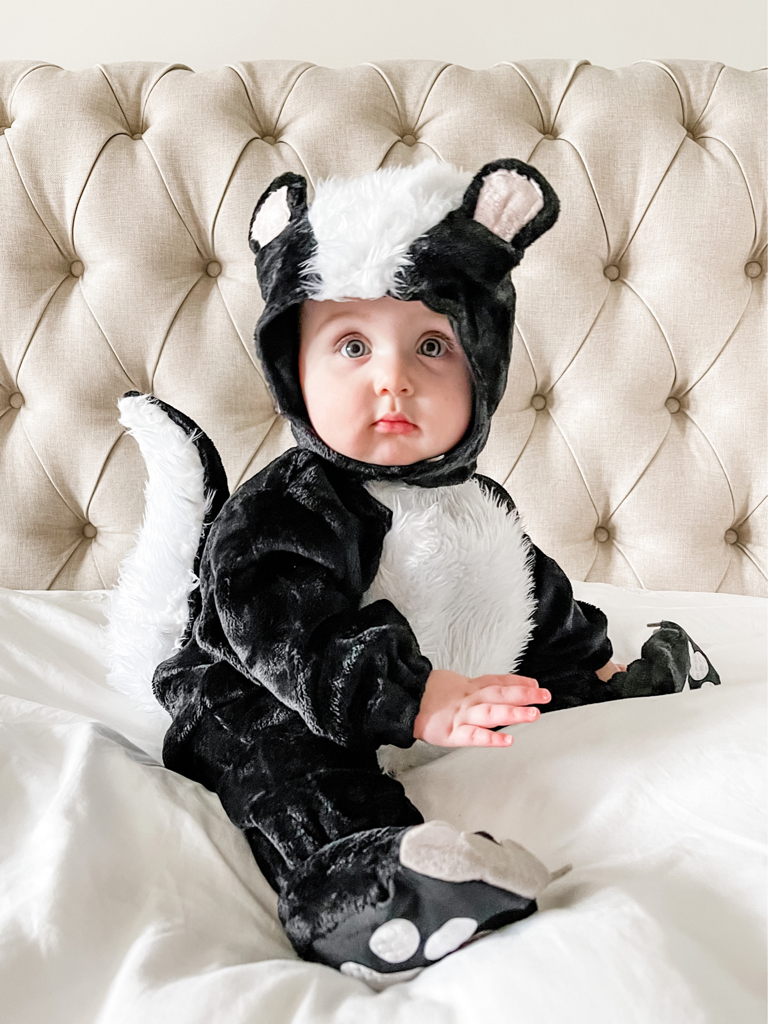 Halloween costume ideas

Kids Halloween costume, baby Halloween costume, skunk costume, baby costume, Amazon finds 

#LTKSeasonal #LTKbaby #LTKHalloween