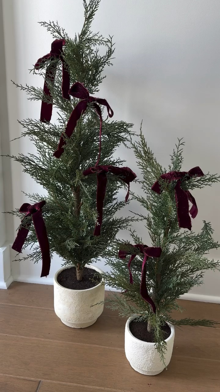 #ad Obsessed with this mini tree styling with @cghunterhome! Everything from the mini trees to the velvet ribbon to the wooden garland was incredible quality. I’ll be using these pieces year after year! Comment SHOP below and we’ll DM you a link! #CGHunter #MyCGH