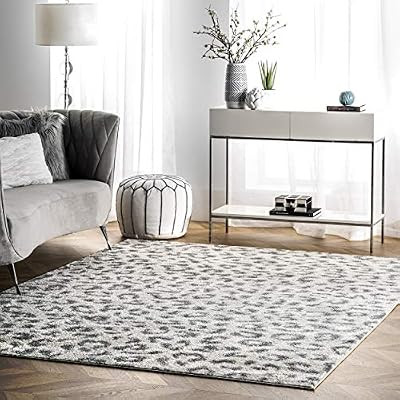 nuLOOM Print Leopard Area Rug, 5' x 7' 5", Gray | Amazon (US)
