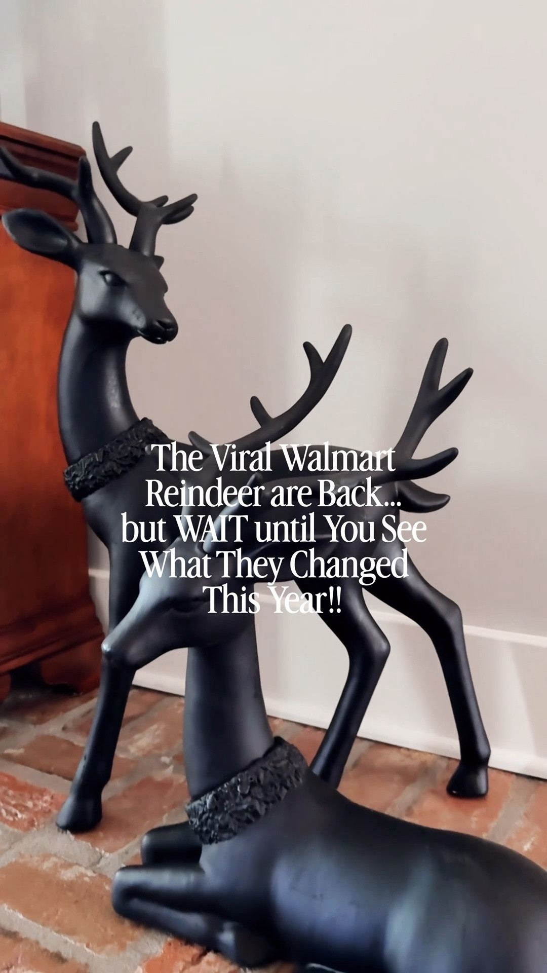 The viral Walmart blow mold reindeer are BACK — and they’re even BETTER this year! 

If you loved the Walmart Christmas reindeer from last year, WAIT until you see the new version… they’re GOLD! 

Same oversized statement look + quality we loved, but now in the prettiest designer-inspired gold finish. They look like high-end Christmas decor without the high-end price tag!

Style these gold Christmas reindeer beside your tree, fireplace, entryway or anywhere you want a statement holiday moment. 

And if last year is any indication, I would NOT wait until you’re ready to decorate. 

I linked the new Walmart gold blow mold reindeer + more of my favorite Walmart Christmas decor here!

#WalmartChristmas #WalmartChristmasDecor #WalmartFinds #WalmartHome #BlowMoldReindeer #ChristmasReindeer #GoldChristmasDecor #ChristmasDecor #HolidayDecor #ChristmasFinds #DesignerInspiredDecor #AffordableChristmasDecor #LTKHome #LTKHoliday #DesignDetailsByDana

#LTKSeasonal #LTKHome #LTKvlog