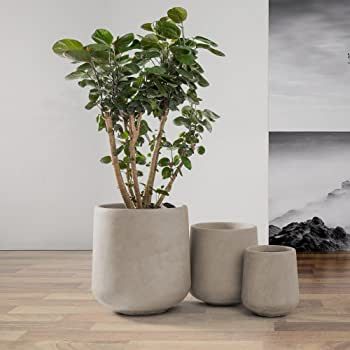 Kante 15.3"+11.6"+8.2" Dia Round Concrete Planter,Large Planter Pots Containers with Drainage Hol... | Amazon (US)