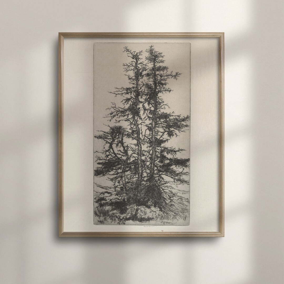 Antique Botanical Wall Art, Vintage Tree Sketch, Forest Print, Nature Drawing, Tree Illustration,... | Etsy (US)