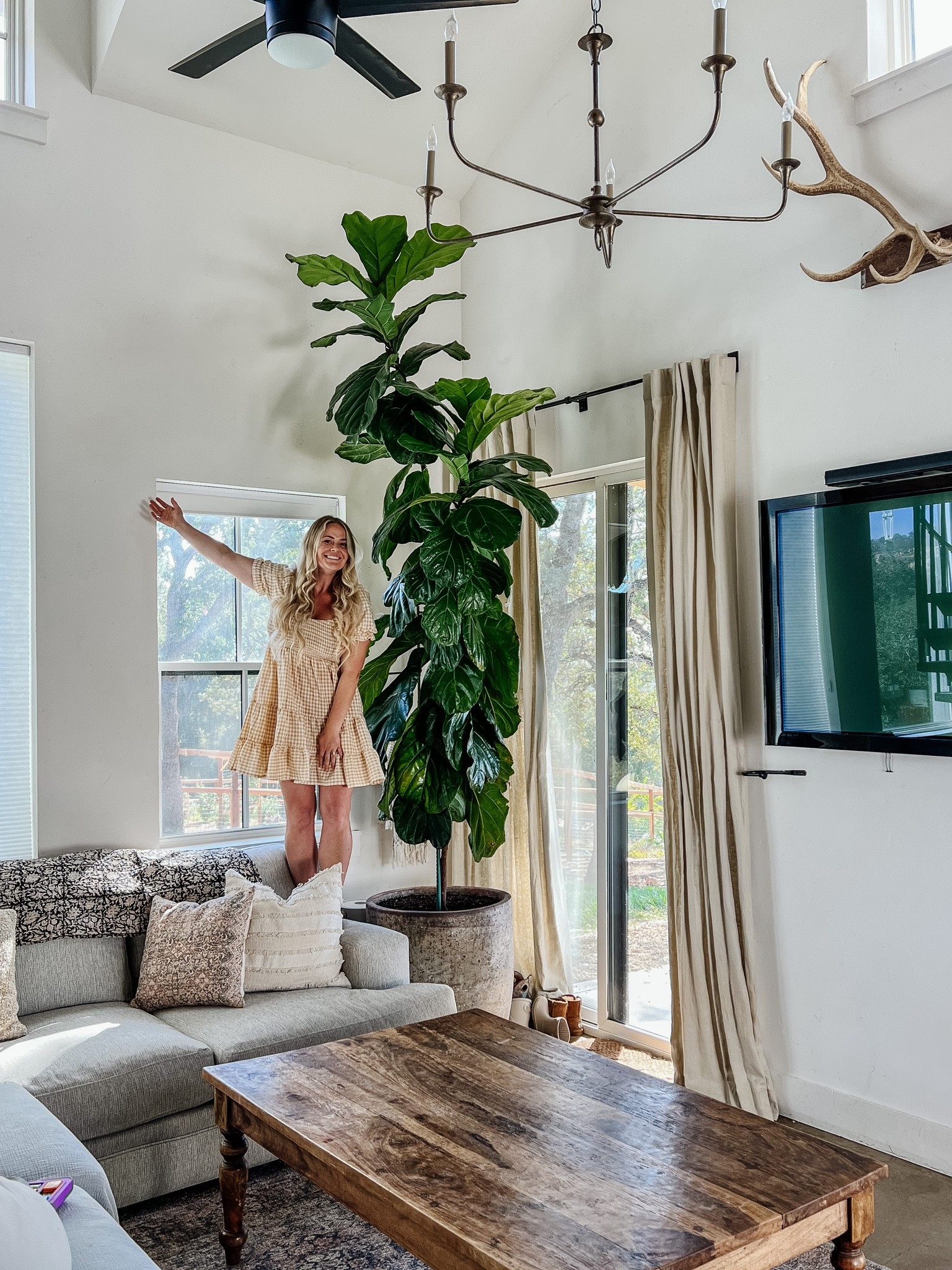 My living room & beautiful fiddle leaf 🪴💕 linking my favorite pots & decor 

#LTKSeasonal #LTKhome #LTKstyletip