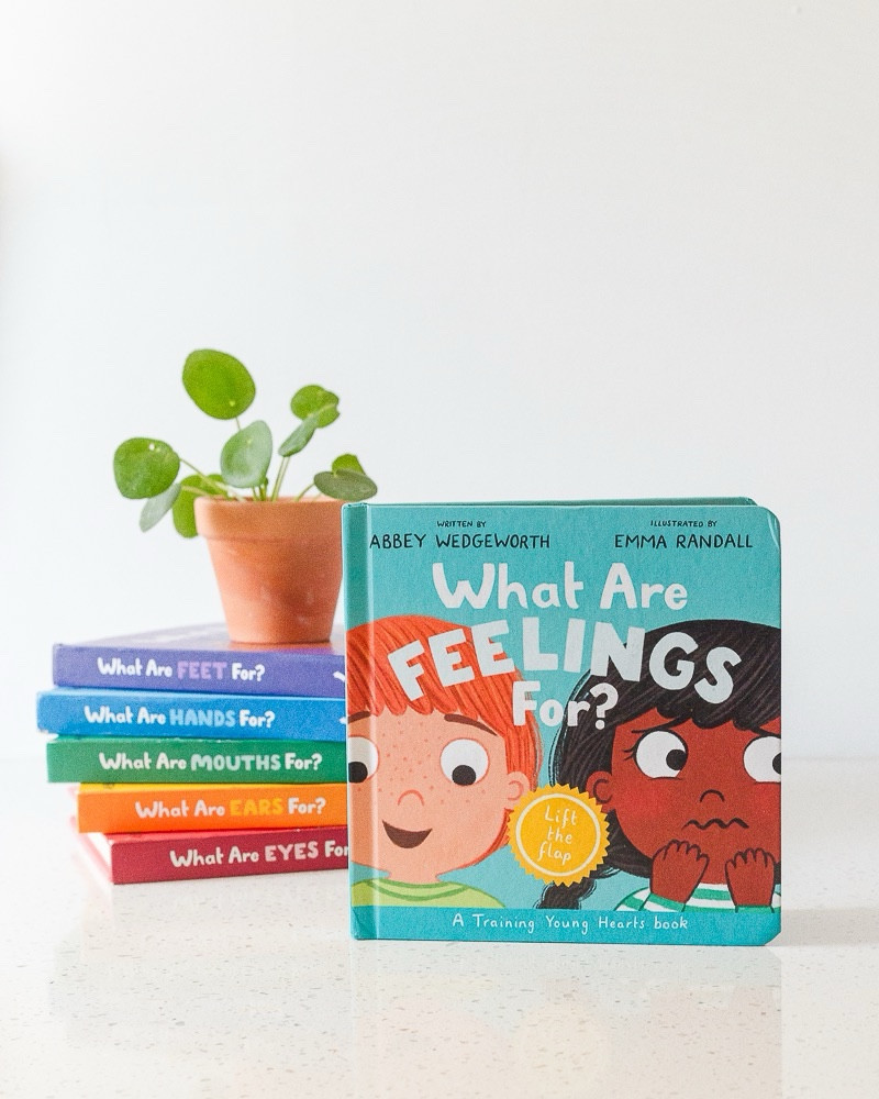 We love the Training Young Hearts series by Abbey Wedgeworth! This is an excellent series to help toddlers understand how to honor God with their bodies! 



#LTKKids #LTKGiftGuide #LTKFindsUnder50