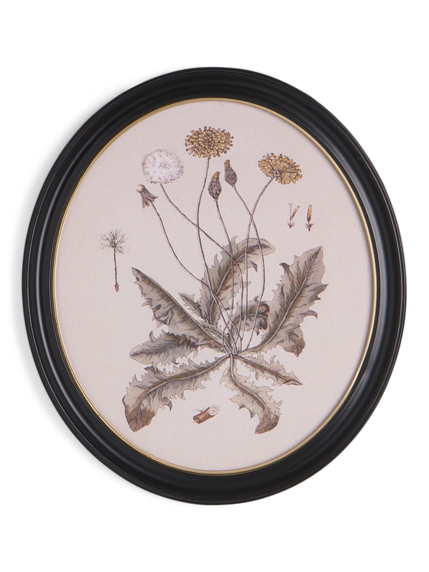 15in Back And White Flowers Framed Wall Art | Home | Marshalls | Marshalls