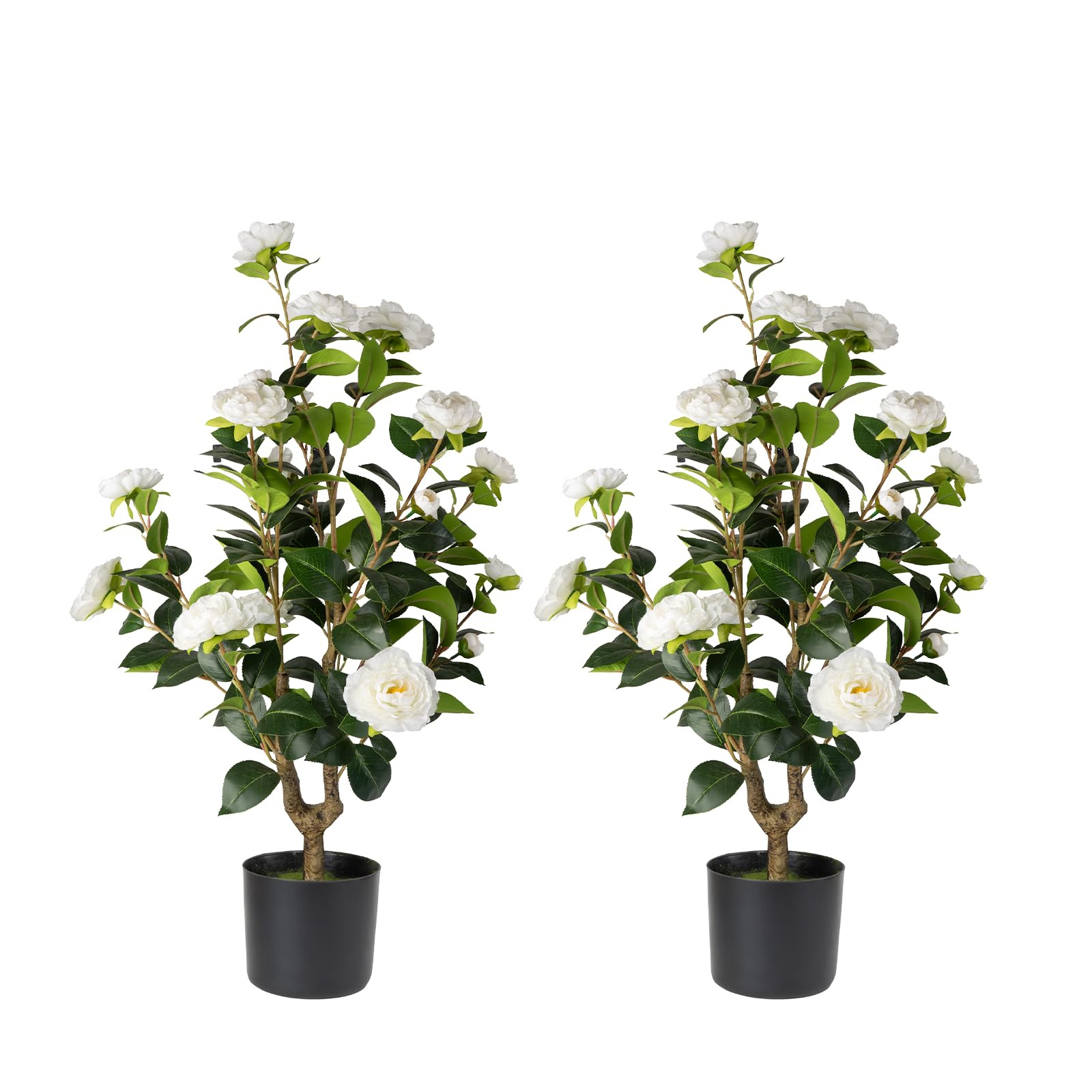 Artificial Camellia Tree 2 Pack - Realistic Camellia Plants in Pot with White Flowers, Lifelike F... | Amazon (US)