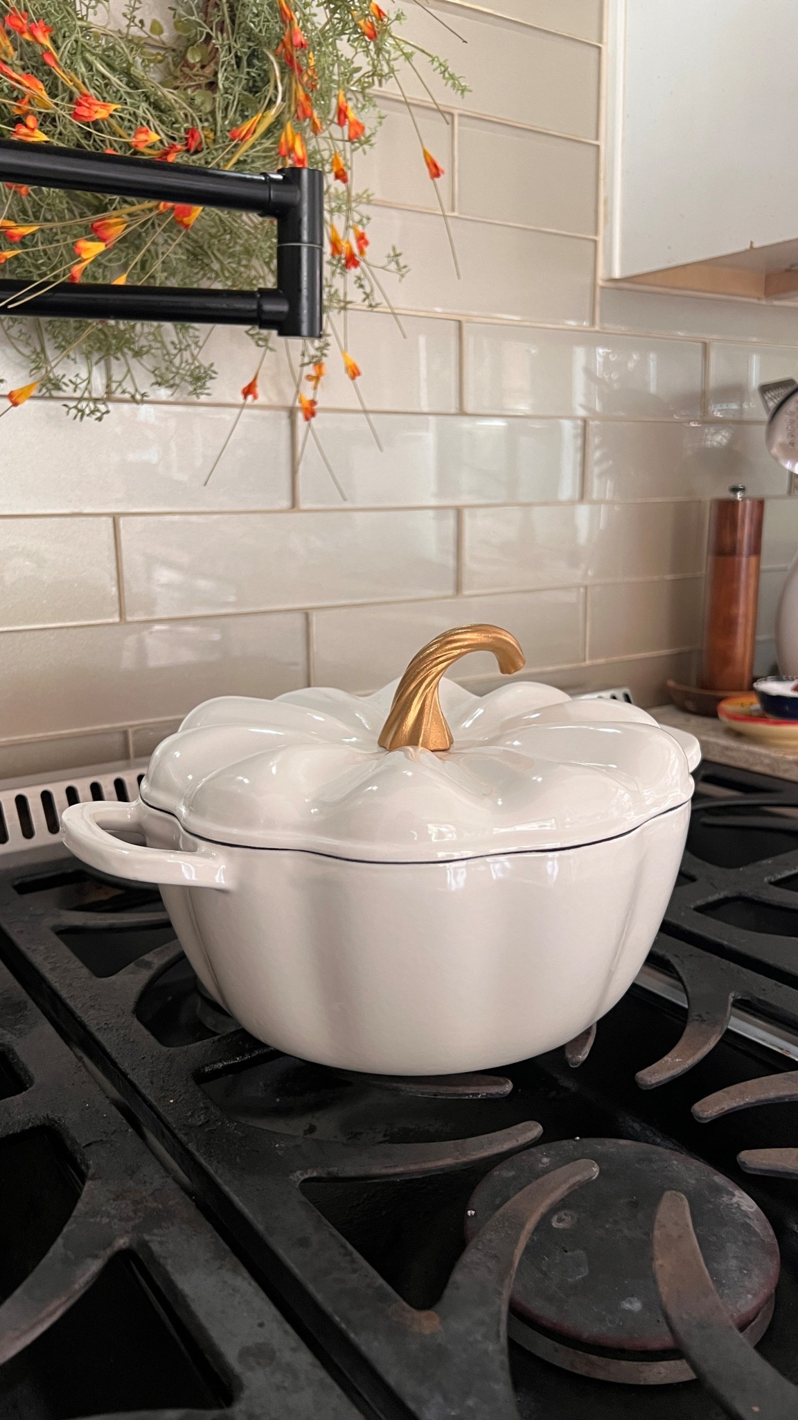 Most affordable Dutch oven for Fall!

#LTKSeasonal #LTKFallSale #LTKFindsUnder50