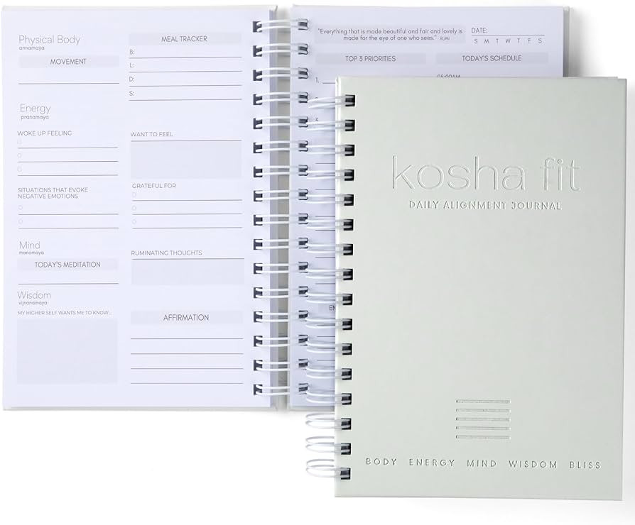 Daily Alignment Journal: Habit Tracker, Mindfulness Journal, Hourly Planner | Happiness & Product... | Amazon (US)