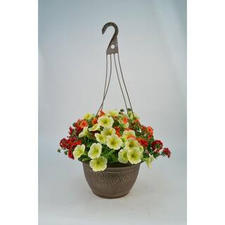 2.1 Gal. Assorted Annual Mix Plant Hanging Basket | The Home Depot