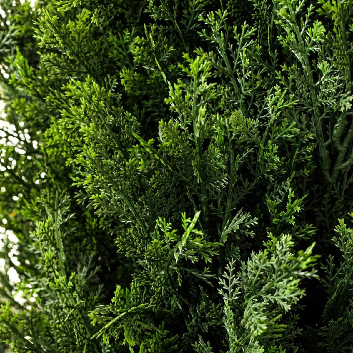 Faux Cedar Tree in Pot | Wayfair North America