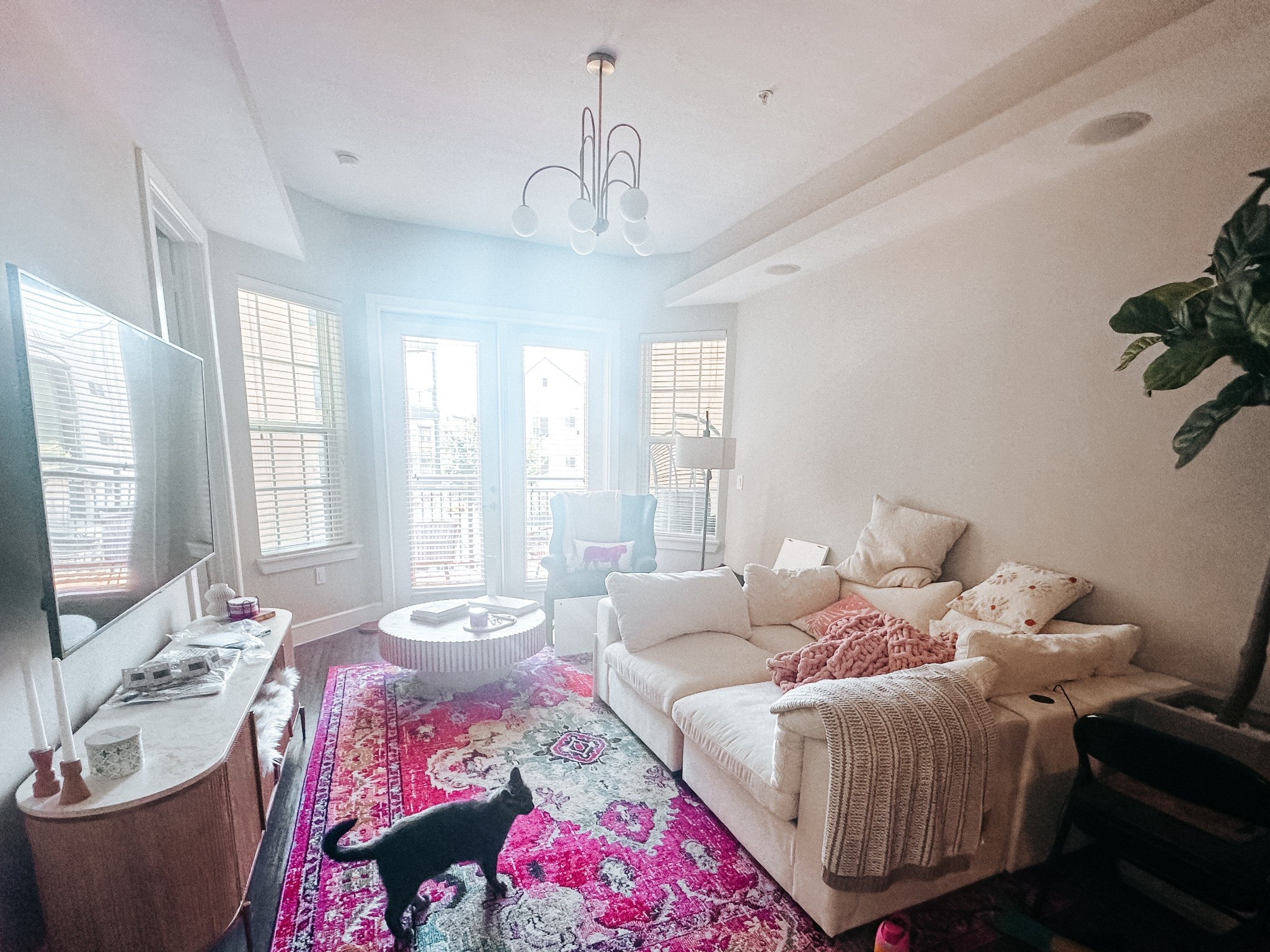 The early days of decorating my apartment. The pink area rug was everything! 😍 got so many compliments from everyone who came over. I’ve carefully curated every item in this home with love. Enjoy!

#LTKStyleTip #LTKHome