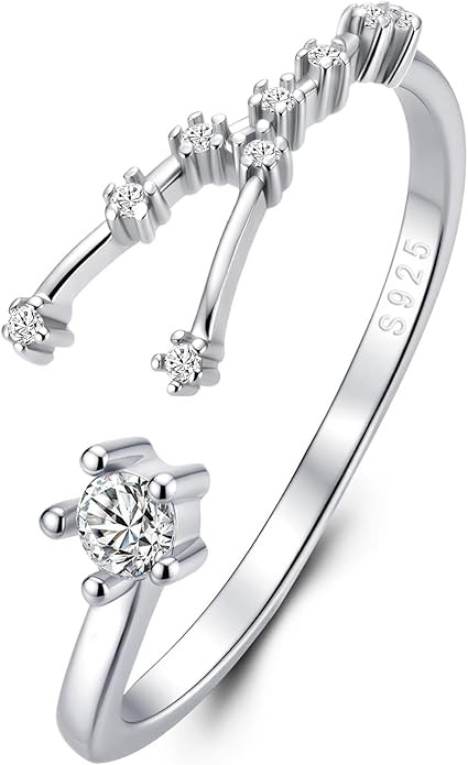 BriLove 925 Sterling Silver CZ Statement Ring Horoscope Zodiac 12 Constellation Astrology Adjusta... | Amazon (US)