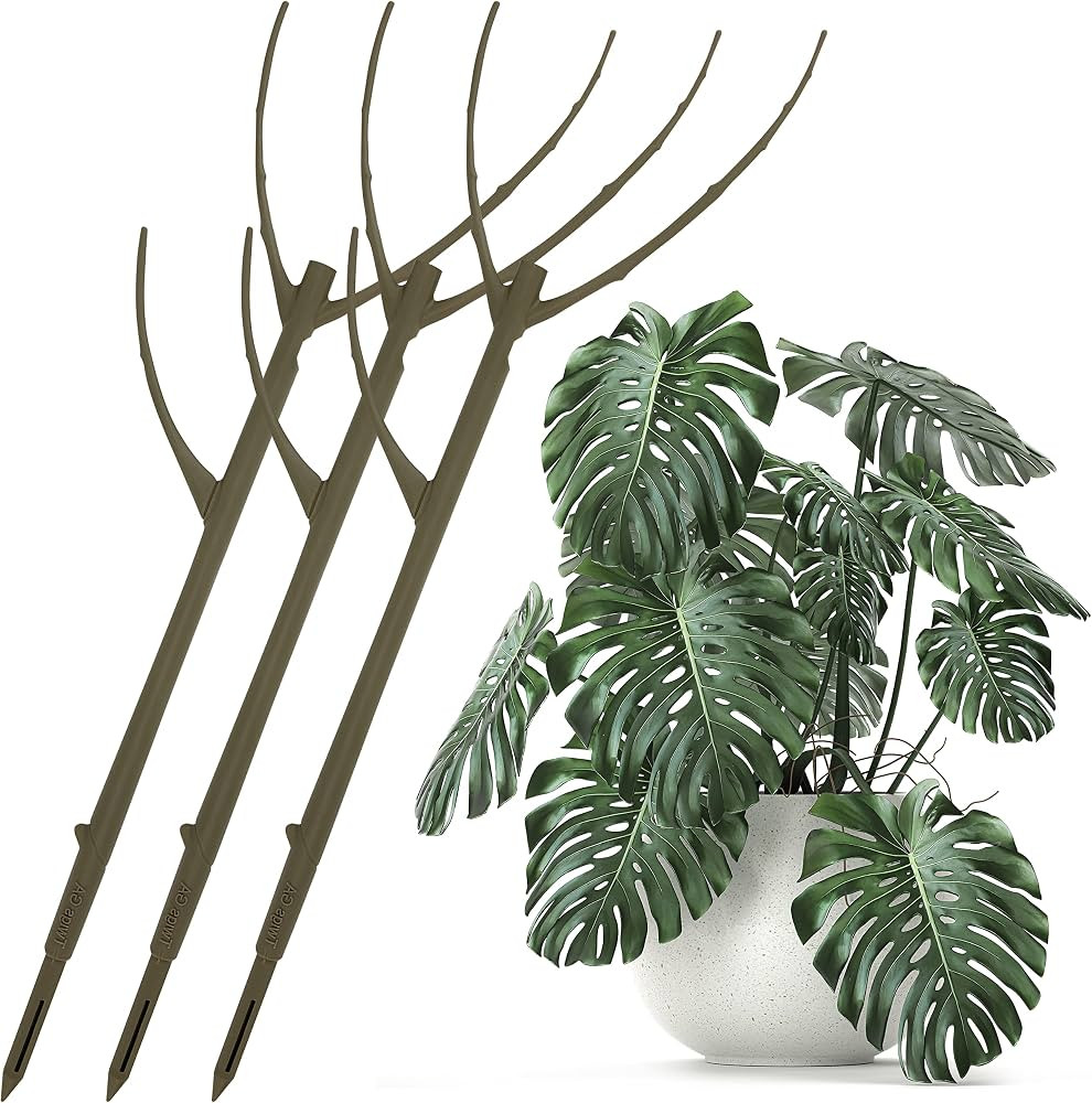 Twigs GA - Twig Plant Support Stakes, Plant Support for Indoor Plants, Trellis for Potted Plants,... | Amazon (US)