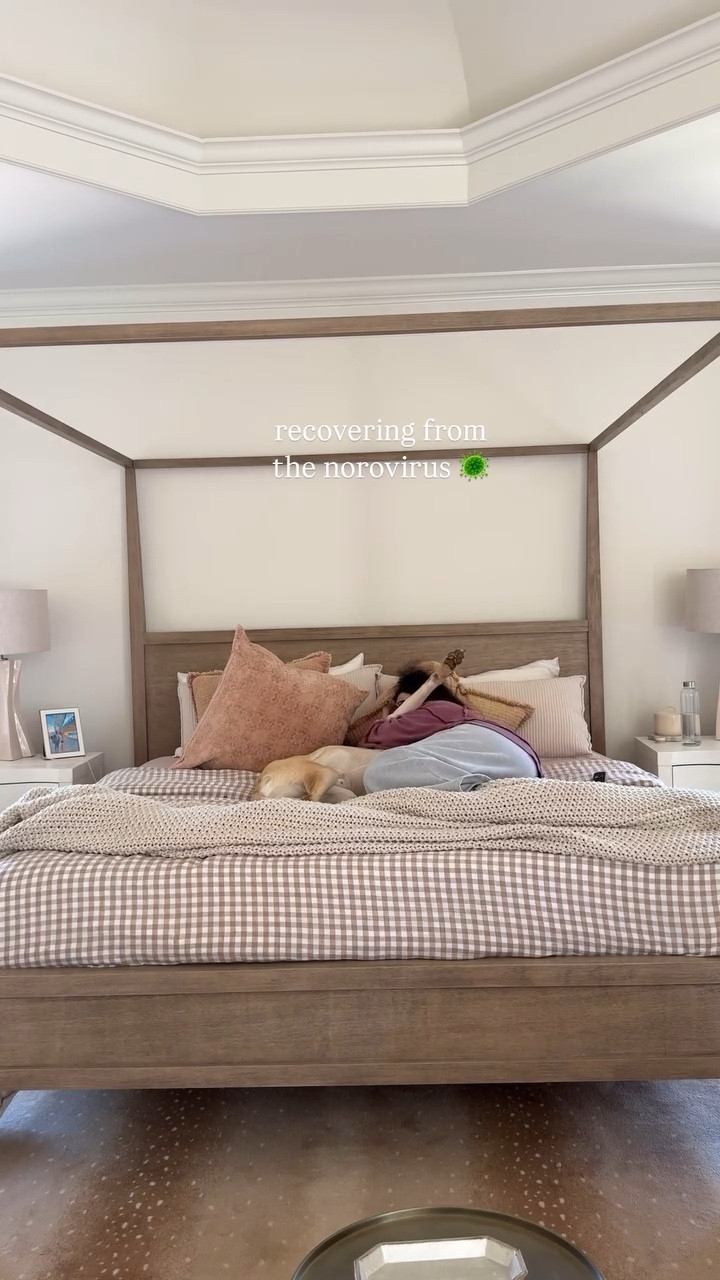 who needs ozempic. jk. kinda #norovirus #sickday #reset

bedding duvet bamboo sheets bedroom

#LTKHome #LTKSeasonal
